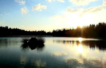 Kleine Freiheit Apartment am See - Photo 20