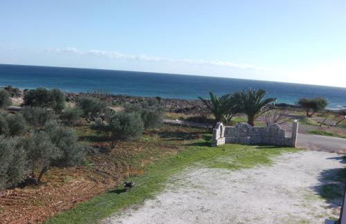 Serenity Hideaway - Photo 25