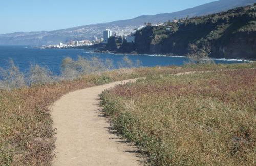 La Pardela Oceanfront - Foto 24