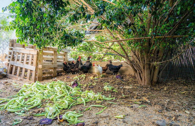 Loveneel Sea Galilee Retreat by SeaNRent - Foto 44