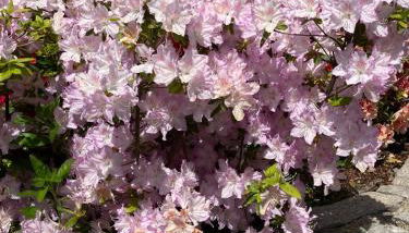 Casa Giorgio - Foto 2