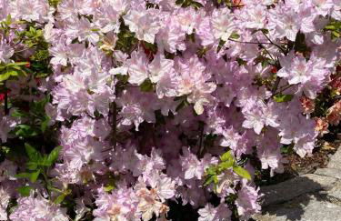 Casa Giorgio - Foto 2