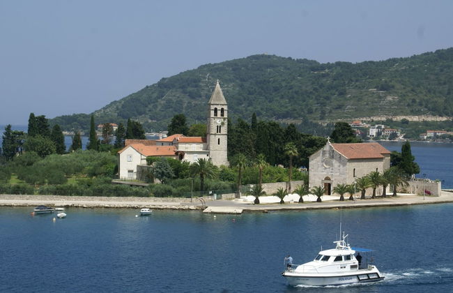 Traditional House With two Apartments - Foto 52