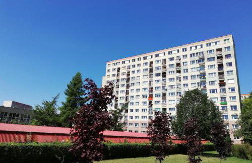 Apartament Familijny - Foto 30