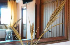 Casa Rural Vallecasar - Foto 18