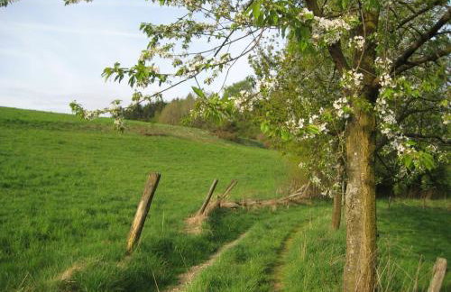 Ferienwohnung am Naturgarten - Foto 10