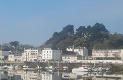 appartement vue mer - Foto 3