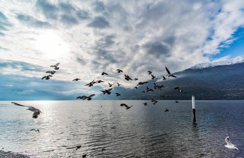 Villa La Corte with amazing pool and garden - Foto 42