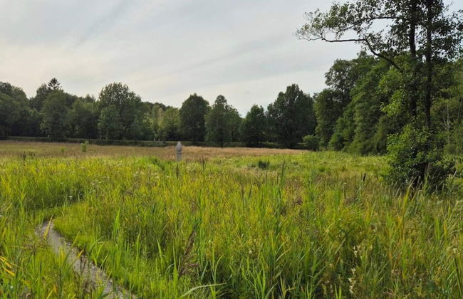 5 Star Holiday Home in Hovborg - Foto 17