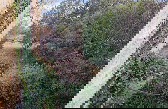 Tuscan Countryside Charm by Sea N' Rent - Foto 17