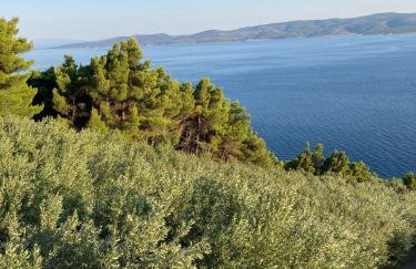 Emmi Apartments - Photo 36