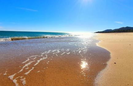 La Ultima Casa Masboquera - Foto 61