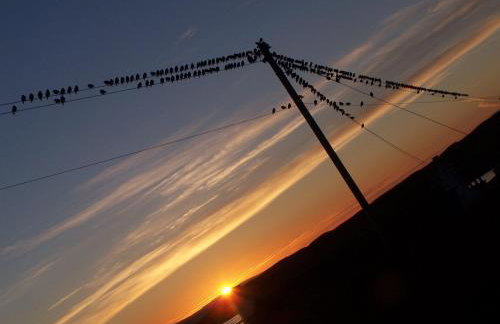 Ornum Self Catering Cottage - Foto 8