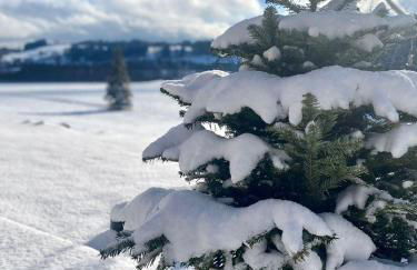 ALPEN WOHLFÜHLQUARTIER - Foto 24