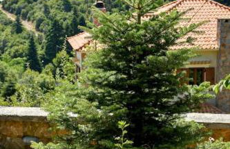 Forest View House Seta - Photo 26