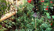 Duplex Sables d'Or - Foto 4