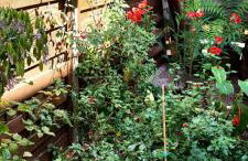 Duplex Sables d'Or - Foto 4