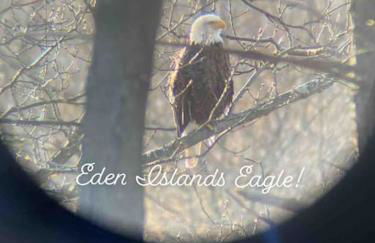 Chic Chalet River Views & Access - Foto 79