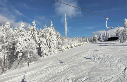 Two Apartaments Almberg - Mitterdorf-Mitterfirmiansreut - Foto 32