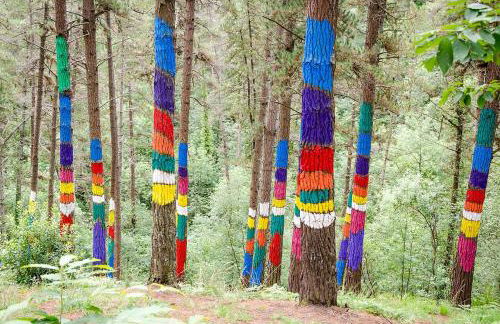 LAGA SURFING IBARRANGELU - Foto 19