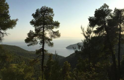 The Music House villa with pool - Foto 31