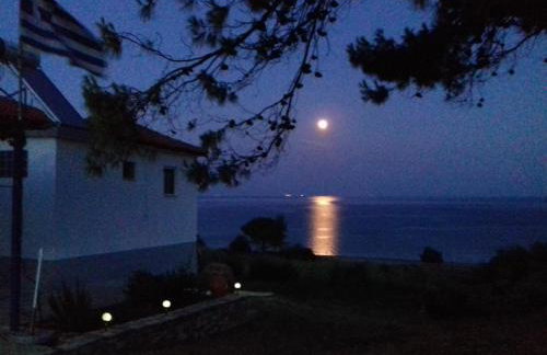 Margarita House - Photo 23