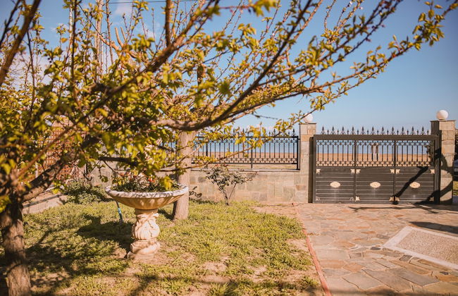 Villa Olga Sea Front Katakolo - Foto 19