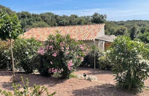 Résidence Patios di Pruno - Foto 20