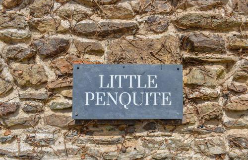 Little Penquite - Photo 14