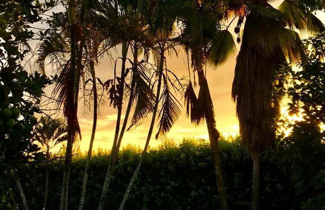 Inviting 14-bed Villa in Toro Valle del Cauca - Foto 31