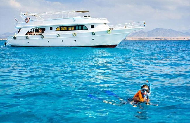 Snorkeling compartilhado de dia inteiro nas Ilhas Hamata saindo de Marsa Alam - Foto 6