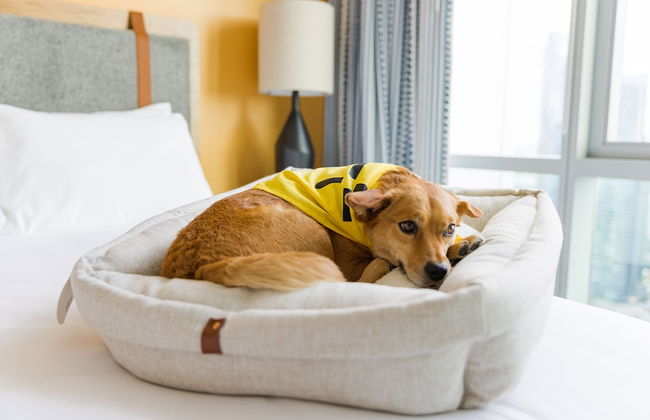 Sentral Michigan Avenue - Foto 40