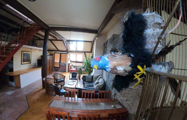 Downtown Apartment Bratislava - Photo 18