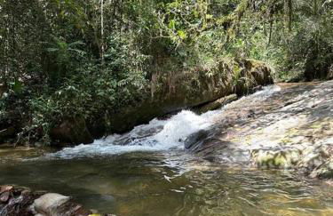 Casa de campo com cachoeira no quintal - Foto 64