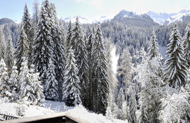 Baita El Deroch - Photo 31