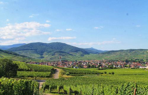 Aux 6 hirondelles - Foto 44