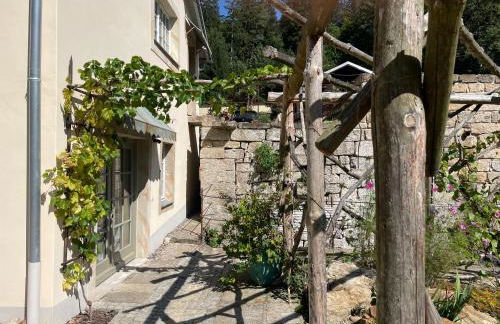 Forellenwasser - Foto 15