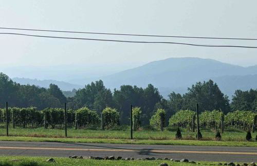 Blue Mountain Getaway Hot tub, Winery, Game Room - Foto 63