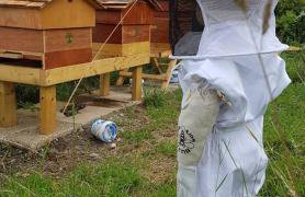 Driftwood Cottage - Foto 41