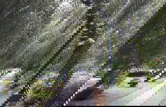 Grand View Residences near Burnham Park - Foto 27