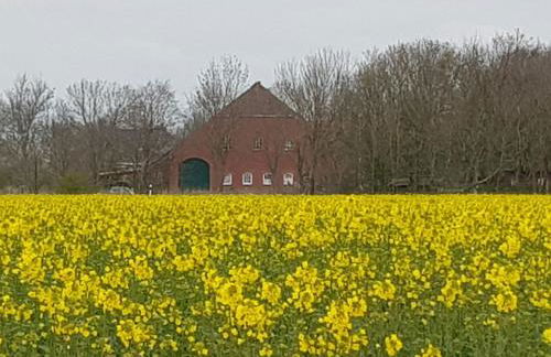 Gulfhof Anelis - Foto 78