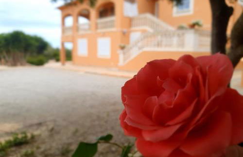 Ca´n RoSer - Foto 63