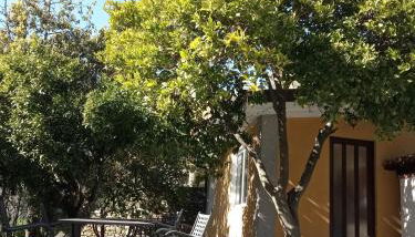 Agriturismo Ardissone Thomas - Foto 2