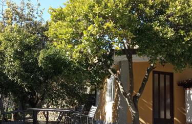 Agriturismo Ardissone Thomas - Foto 2