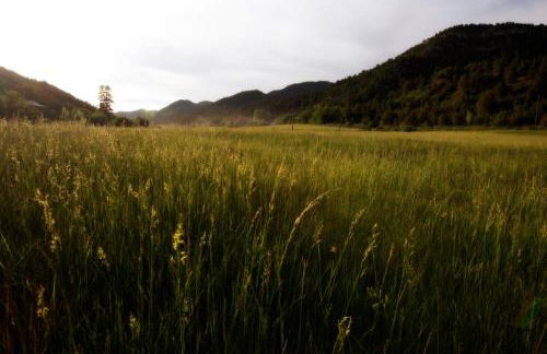 The Barn Silo at Goose Lake Lane - Foto 30