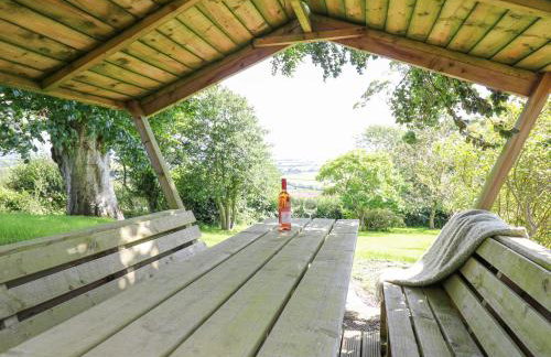 Penuwch Fach - Foto 41