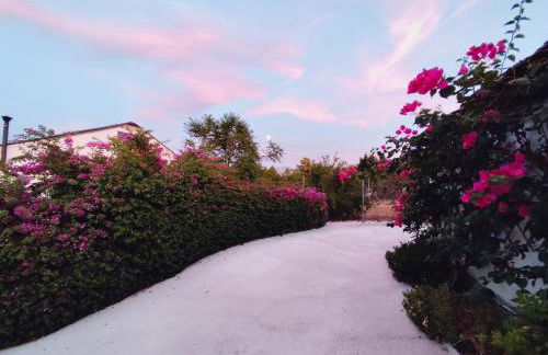 Andalusian Pool Parties Music & Magic - Photo 44