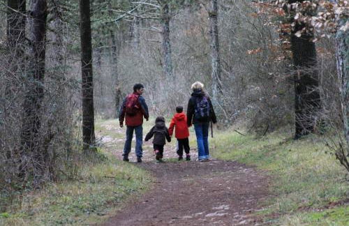 L'Atelier du Champ Ladoit - Foto 24