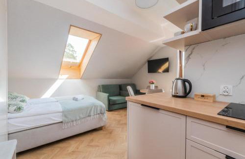 Apartamenty Gajówka- rowery, plac zabaw, sauna, jacuzzi - Foto 27