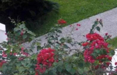 Make yourself at home in Halkidiki's paradise - Foto 50